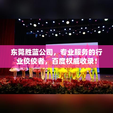 東莞勝藍(lán)公司，專業(yè)服務(wù)的行業(yè)佼佼者，百度權(quán)威收錄！