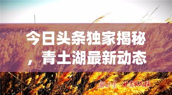 今日頭條獨家揭秘，青土湖最新動態(tài)快報