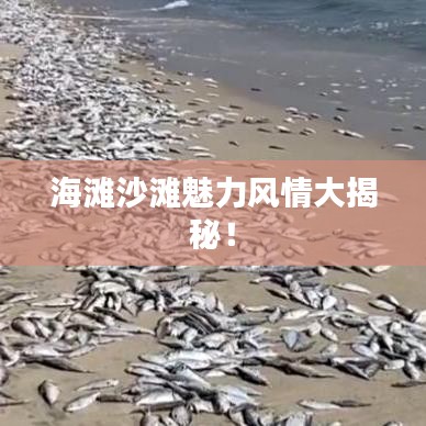 海灘沙灘魅力風情大揭秘！