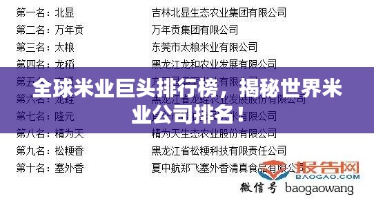 全球米業(yè)巨頭排行榜，揭秘世界米業(yè)公司排名！