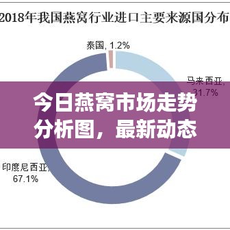 今日燕窩市場(chǎng)走勢(shì)分析圖，最新動(dòng)態(tài)與市場(chǎng)前景展望