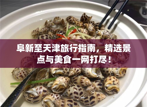 阜新至天津旅行指南，精選景點與美食一網(wǎng)打盡！