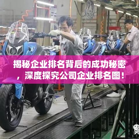 揭秘企業(yè)排名背后的成功秘密，深度探究公司企業(yè)排名圖！