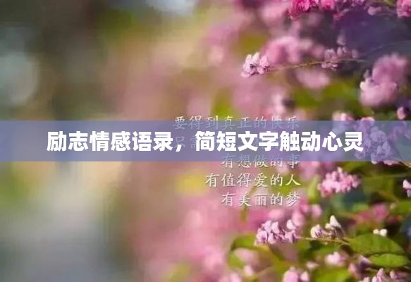 勵志情感語錄，簡短文字觸動心靈