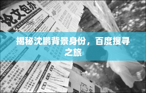 揭秘沈鵬背景身份，百度搜尋之旅