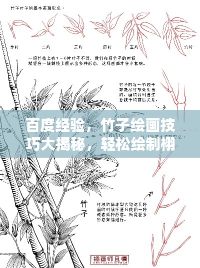 百度經(jīng)驗，竹子繪畫技巧大揭秘，輕松繪制栩栩如生竹葉圖