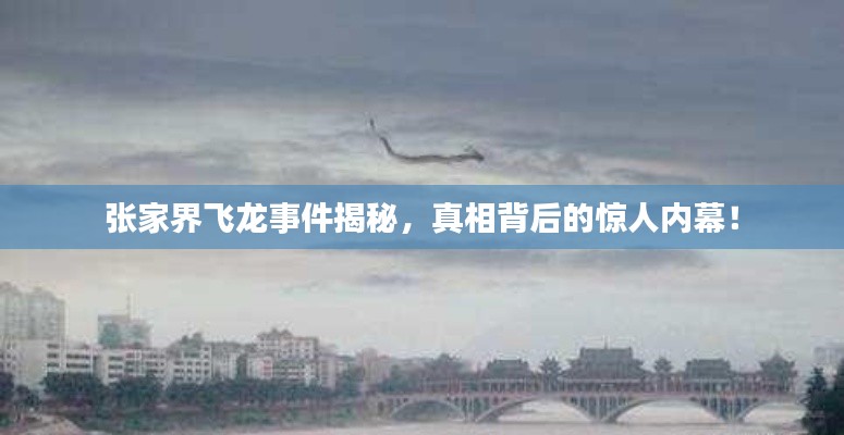 張家界飛龍事件揭秘，真相背后的驚人內(nèi)幕！
