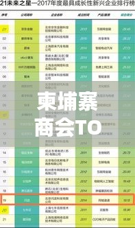 柬埔寨商會(huì)TOP10榜單揭曉，揭秘排名前十的商會(huì)！