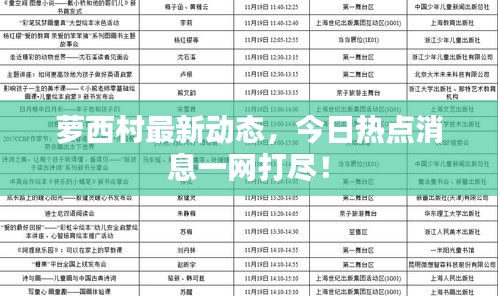 蘿西村最新動態(tài)，今日熱點消息一網(wǎng)打盡！