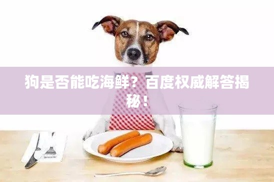 狗是否能吃海鮮？百度權(quán)威解答揭秘！
