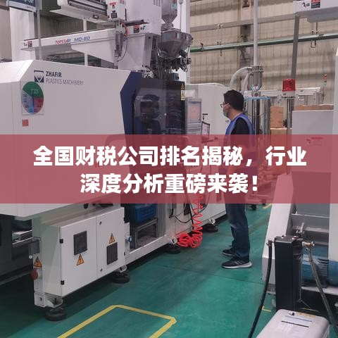 全國(guó)財(cái)稅公司排名揭秘，行業(yè)深度分析重磅來(lái)襲！