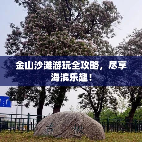 金山沙灘游玩全攻略，盡享海濱樂趣！