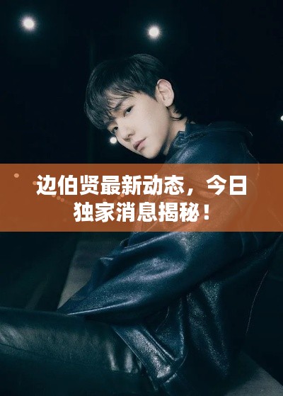 邊伯賢最新動態(tài)，今日獨(dú)家消息揭秘！