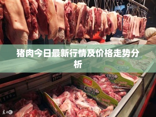 豬肉今日最新行情及價格走勢分析