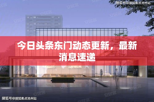 今日頭條東門動態(tài)更新，最新消息速遞