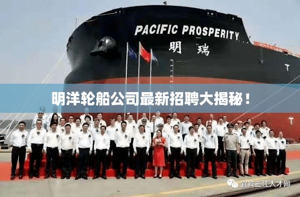 明洋輪船公司最新招聘大揭秘！