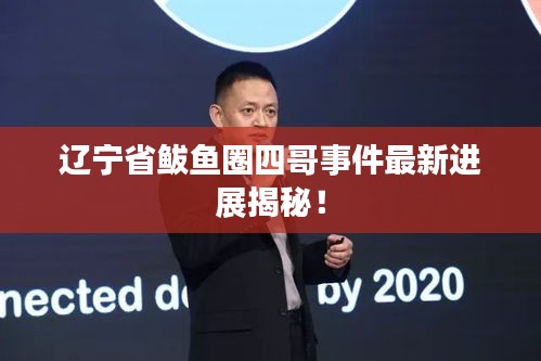 遼寧省鲅魚(yú)圈四哥事件最新進(jìn)展揭秘！