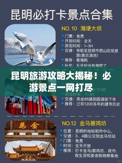 昆明旅游攻略大揭秘！必游景點(diǎn)一網(wǎng)打盡