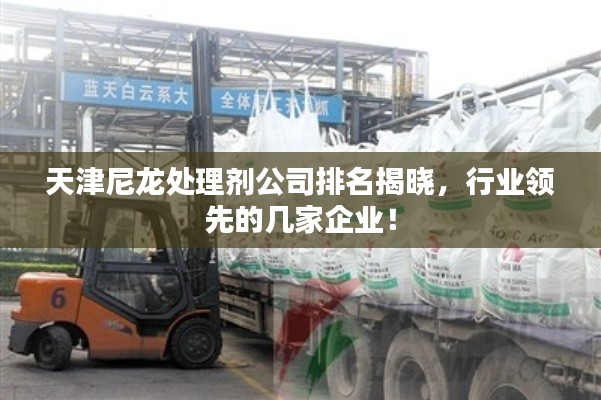 天津尼龍?zhí)幚韯┕九琶視?，行業(yè)領(lǐng)先的幾家企業(yè)！