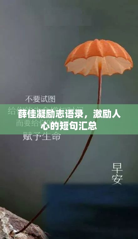 薛佳凝勵志語錄，激勵人心的短句匯總