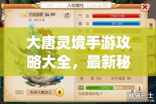 大唐靈境手游攻略大全，最新秘籍揭秘！