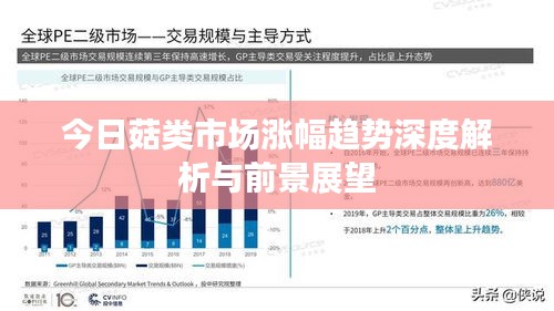 今日菇類(lèi)市場(chǎng)漲幅趨勢(shì)深度解析與前景展望