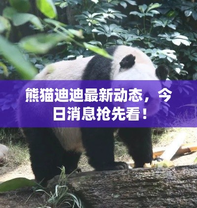 有張沒智 第3頁