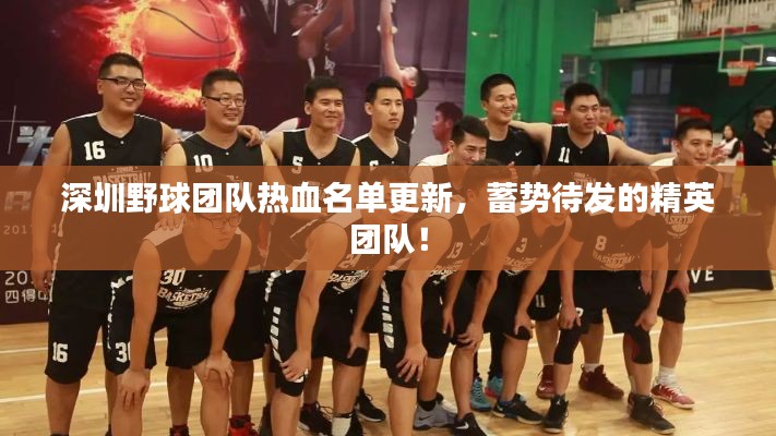 深圳野球團(tuán)隊熱血名單更新，蓄勢待發(fā)的精英團(tuán)隊！