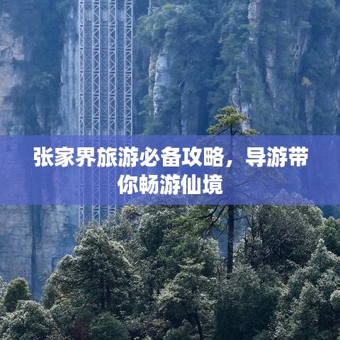 張家界旅游必備攻略，導(dǎo)游帶你暢游仙境