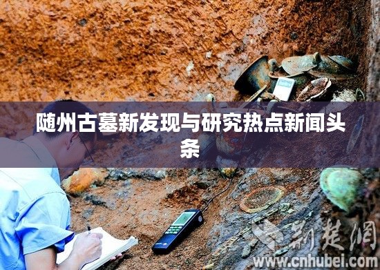 隨州古墓新發(fā)現(xiàn)與研究熱點新聞頭條