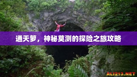 通天籮，神秘莫測的探險之旅攻略