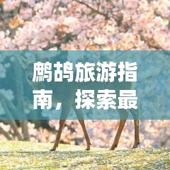 寧?kù)o致遠(yuǎn) 第2頁(yè)