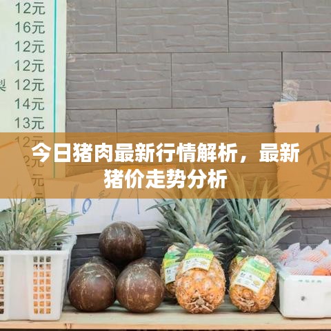 今日豬肉最新行情解析，最新豬價走勢分析