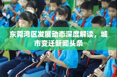 東莞灣區(qū)發(fā)展動(dòng)態(tài)深度解讀，城市變遷新聞?lì)^條