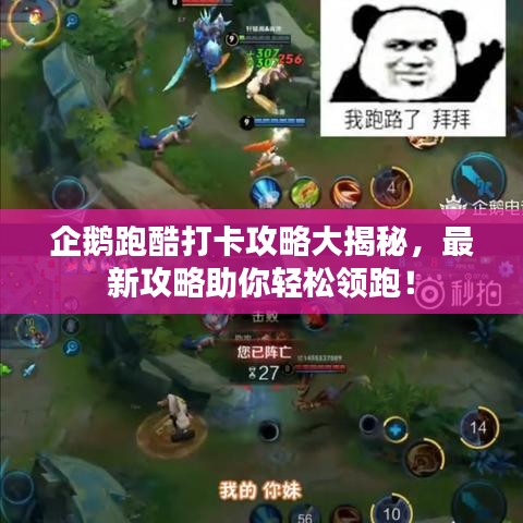 企鵝跑酷打卡攻略大揭秘，最新攻略助你輕松領(lǐng)跑！