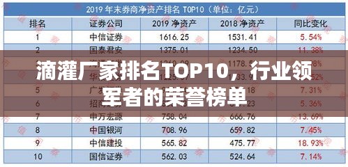 滴灌廠家排名TOP10，行業(yè)領(lǐng)軍者的榮譽榜單