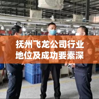 撫州飛龍公司行業(yè)地位及成功要素深度解析