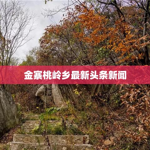 金寨桃?guī)X鄉(xiāng)最新頭條新聞