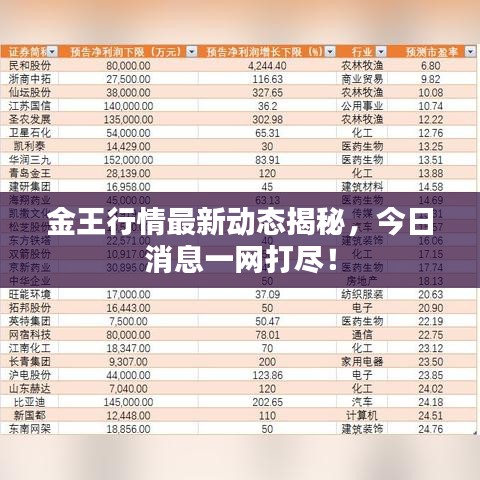 金王行情最新動態(tài)揭秘，今日消息一網(wǎng)打盡！