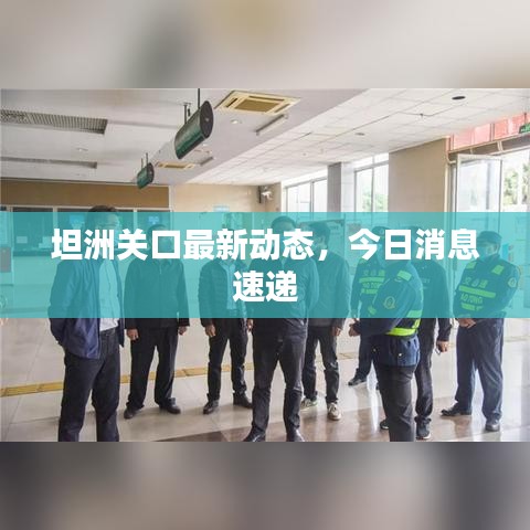 坦洲關(guān)口最新動(dòng)態(tài)，今日消息速遞