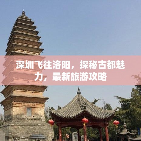 深圳飛往洛陽，探秘古都魅力，最新旅游攻略