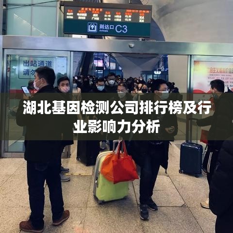 湖北基因檢測(cè)公司排行榜及行業(yè)影響力分析
