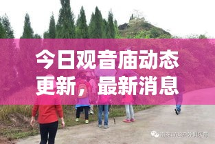 今日觀音廟動(dòng)態(tài)更新，最新消息一覽