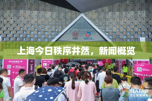 上海今日秩序井然，新聞概覽