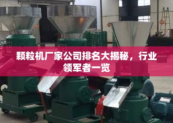 顆粒機廠家公司排名大揭秘，行業(yè)領(lǐng)軍者一覽