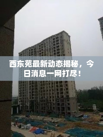 西東苑最新動態(tài)揭秘，今日消息一網(wǎng)打盡！