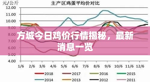 方城今日雞價(jià)行情揭秘，最新消息一覽