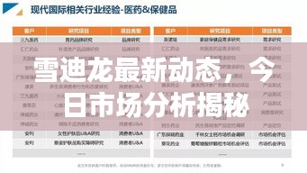 雪迪龍最新動(dòng)態(tài)，今日市場(chǎng)分析揭秘