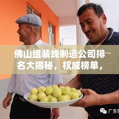 佛山組裝線制造公司排名大揭秘，權(quán)威榜單，行業(yè)巨頭一網(wǎng)打盡！