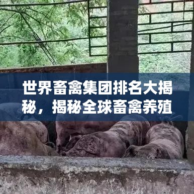 世界畜禽集團(tuán)排名大揭秘，揭秘全球畜禽養(yǎng)殖巨頭榜單
